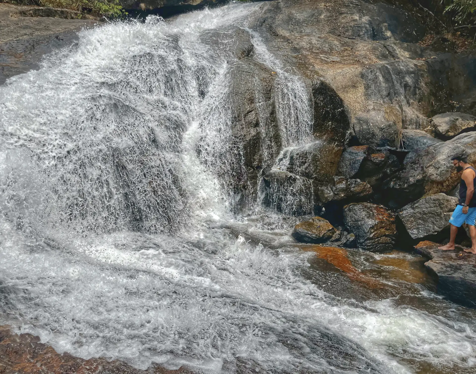 Munnar - Experience the Best of Munnar