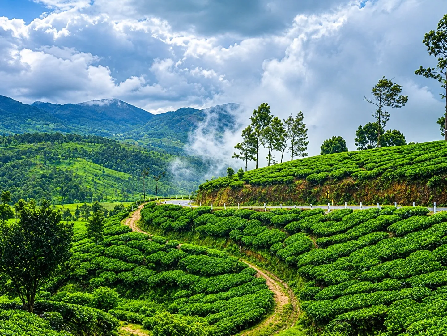 Kanthalloor + Marayoor - Sandalwood Forests & Fruit Orchards